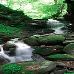 Near Afritzer & Verditz Trails Innere Einode