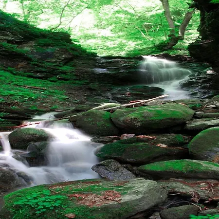 Near Afritzer & Verditz Trails Innere Einode