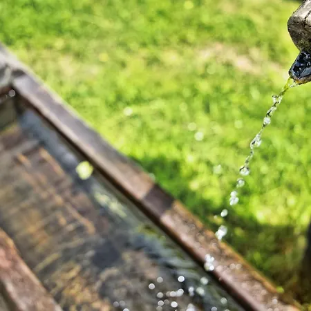 Near Afritzer & Verditz Trails *