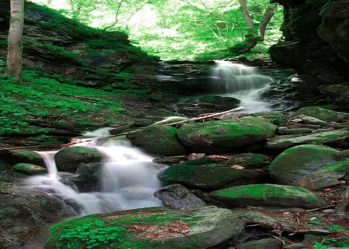 Near Afritzer & Verditz Trails Innere Einode