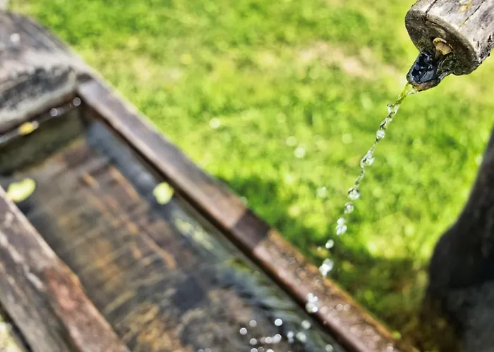 Near Afritzer & Verditz Trails *